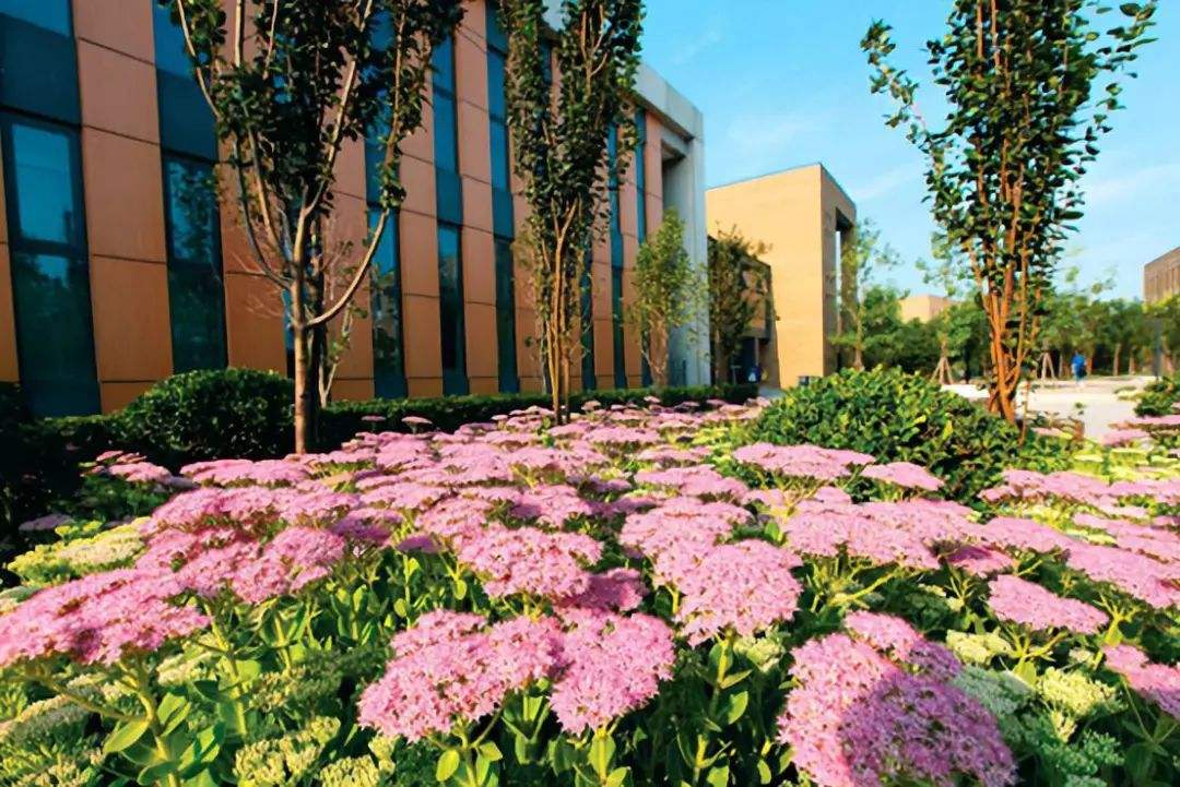 樂山廣播電視大學五通分?！鸽姶蟆?></a></div>
          <dl>
              <dt><a href=