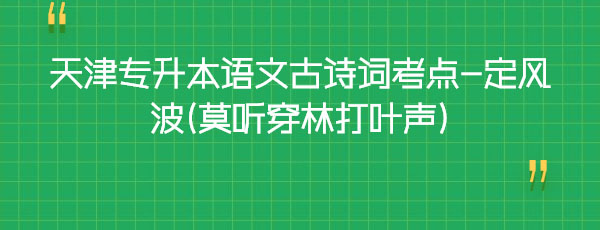 天津?qū)I菊Z(yǔ)文古詩(shī)詞考點(diǎn)-定風(fēng)波(莫聽(tīng)穿林打葉聲) 天津?qū)I菊Z(yǔ)文古詩(shī)詞考點(diǎn)-定風(fēng)波(莫聽(tīng)穿林打葉聲)