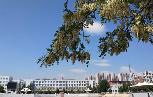 1652863457168082.jpg 38bae180-63a2-4f16-9b97-d318939d8c61.jpg