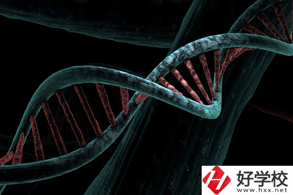 溆浦縣職業(yè)中等專業(yè)學(xué)校宿舍怎么樣？