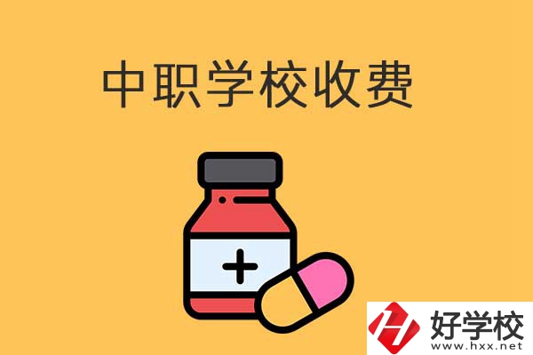 衡陽的中職學(xué)校怎么收費的？費用貴不貴？