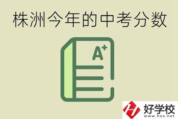 株洲今年中考多少分能上高中？沒考上有什么選擇？