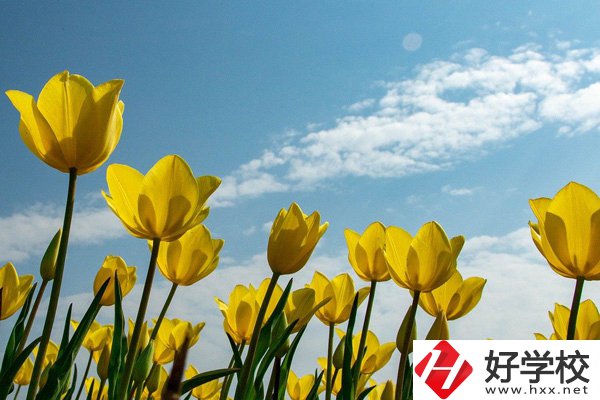 岳陽(yáng)有開設(shè)工業(yè)機(jī)器人技術(shù)應(yīng)用專業(yè)的中職學(xué)校嗎？
