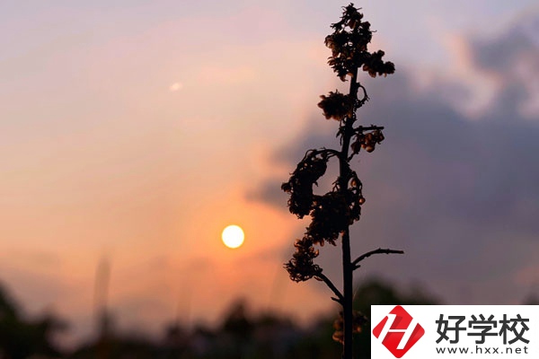 邵陽(yáng)哈博職業(yè)中專(zhuān)學(xué)校好不好？有什么辦學(xué)特色？