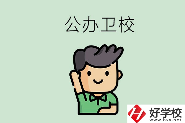 湖南的公辦衛(wèi)校有哪些？這兩所學(xué)校值得推薦！
