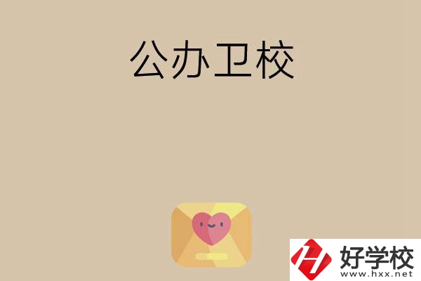 想在湖南上公辦衛(wèi)校？這所學(xué)校值得一看