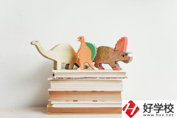 懷化啟航衛(wèi)生學校辦學地址在哪兒？