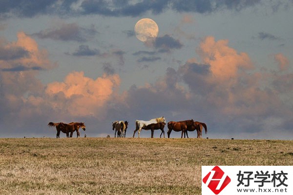 邵陽工業(yè)學(xué)校是公辦還是民辦？有什么優(yōu)勢？