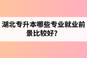 湖北專升本哪些專業(yè)就業(yè)前景比較好？
