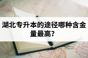 湖北普通專(zhuān)升本英譯漢段落翻譯分析應(yīng)該怎么做？