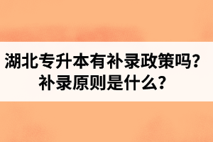 湖北專升本有補(bǔ)錄政策嗎？補(bǔ)錄原則是什么？