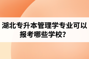 湖北專升本管理學(xué)專業(yè)可以報考哪些學(xué)校？屬于管理學(xué)的專業(yè)有哪些？