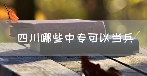 四川哪些中?？梢援?dāng)兵(圖1)