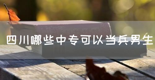 四川哪些中?？梢援?dāng)兵男生(圖1)