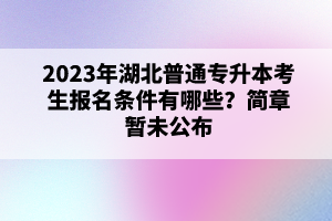 2023年湖北普通專升本考生報名條件有哪些？簡章暫未公布