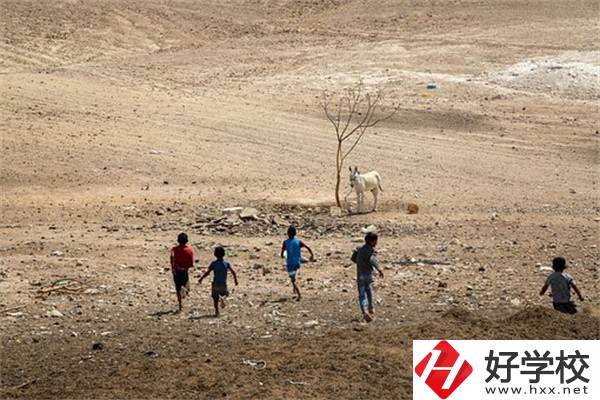 張家界少數(shù)民族加分政策是什么？中專升大專加分嗎？