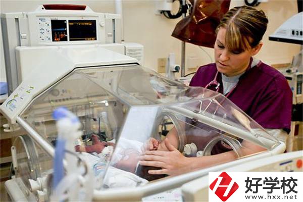 湖南中職學(xué)校開設(shè)最多的專業(yè)有哪些？就業(yè)前景怎么樣？