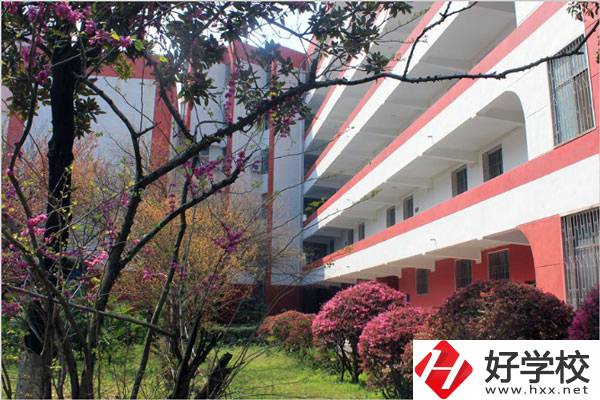 婁底有哪些技校？哪一所比較好？