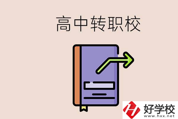 有在讀高中不想讀轉(zhuǎn)職校的例子嗎？能轉(zhuǎn)到湖南職校嗎？