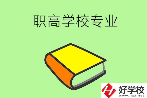 湖南省株洲市職高學(xué)校有哪些專業(yè)比較好？