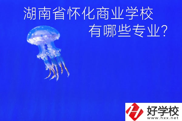 湖南省懷化商業(yè)學(xué)校好不好？有哪些專業(yè)？