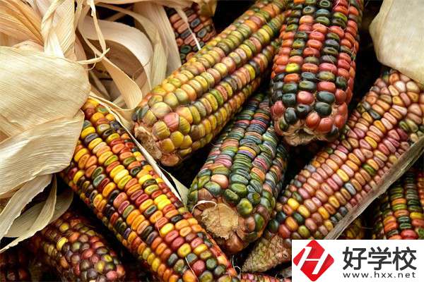 岳陽中職學校哪些專業(yè)好？有什么學校推薦？