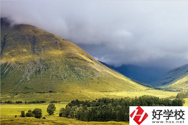 在湖南讀中專，哪些專業(yè)就業(yè)前景比較好？