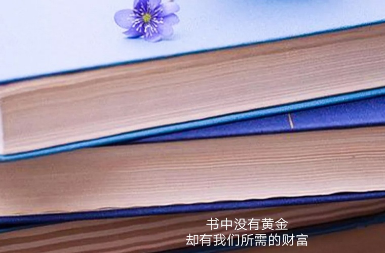 龍海藝術設計學校