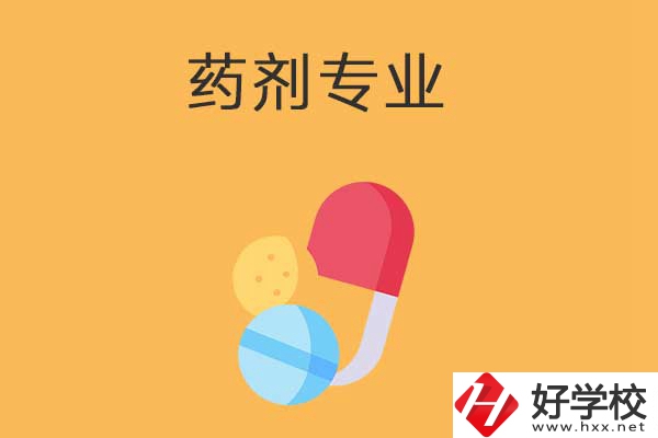 衡陽市有開設(shè)藥劑專業(yè)的中專學(xué)校嗎？招生人數(shù)多嗎？