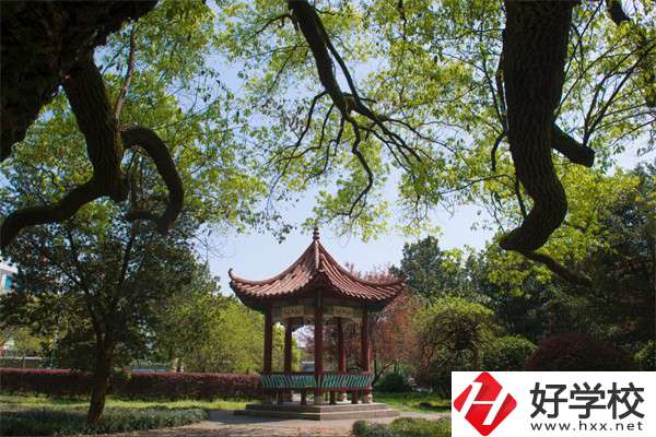 長沙市望城區(qū)職業(yè)中等專業(yè)學(xué)校的官網(wǎng)是什么？