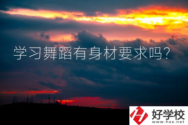 懷化有可以學(xué)習(xí)舞蹈的中專(zhuān)學(xué)校嗎？有身材要求嗎？