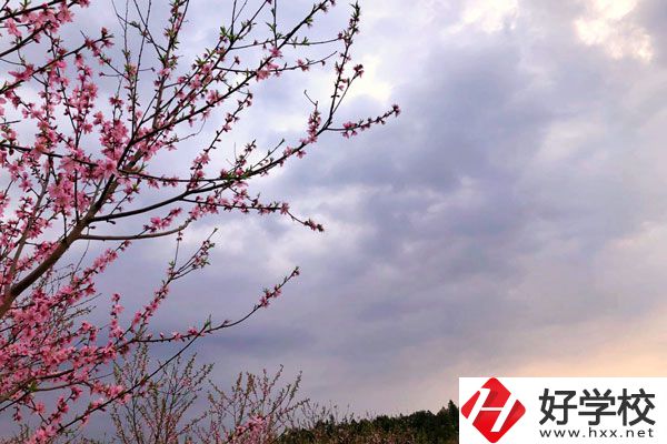 邵陽市瀟湘中等職業(yè)技術(shù)學(xué)校怎么樣？收費(fèi)標(biāo)準(zhǔn)如何？