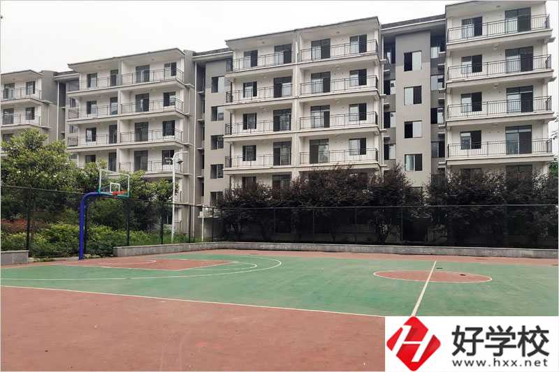衡陽科技工程學(xué)?；@球場(chǎng)