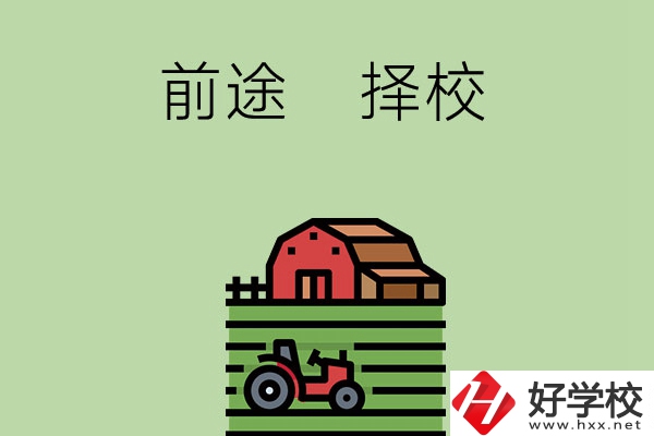 在長(zhǎng)沙讀中職學(xué)校有前途嗎，如何擇校？