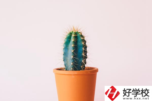 長(zhǎng)沙有哪些中職學(xué)?？梢詫W(xué)習(xí)幼師專業(yè)？