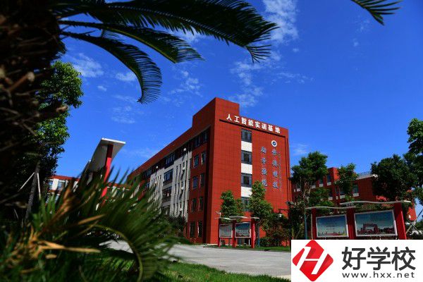 岳陽(yáng)市有學(xué)工業(yè)機(jī)器人技術(shù)專業(yè)的中職學(xué)校嗎？