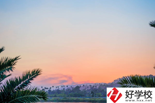 益陽市第一職業(yè)中專都有哪些招生專業(yè)和要求？