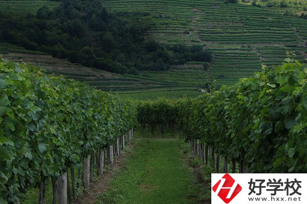 中鋼集團衡陽重機技工學(xué)校好不好？值得讀嗎？