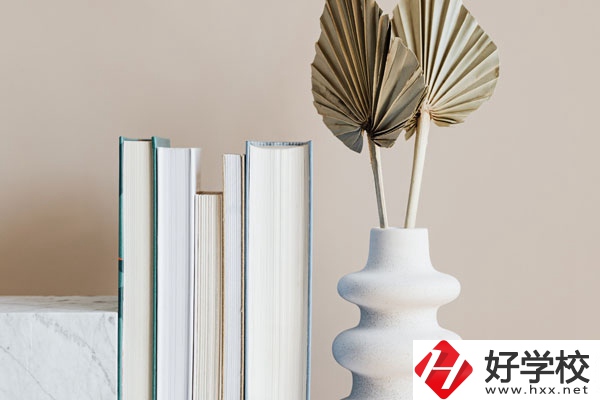 懷化職業(yè)技術(shù)學(xué)院(中職部)好不好，值得選擇嗎？