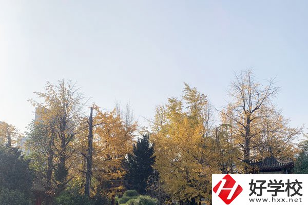 湘潭縣就業(yè)職業(yè)技術(shù)學(xué)校有哪些專(zhuān)業(yè)？就業(yè)前景怎么樣？