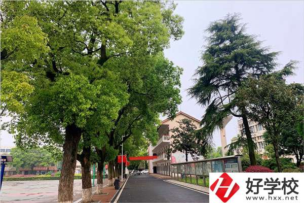 想在益陽學機械制造專業(yè)，哪個學校比較好？