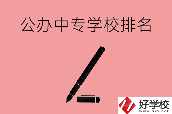 婁底哪些公辦中專學校排名比較靠前？