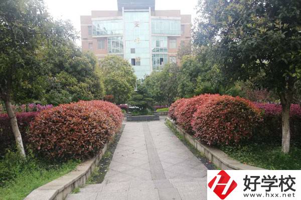 衡陽市職業(yè)中等專業(yè)學(xué)校的實訓(xùn)條件怎么樣？