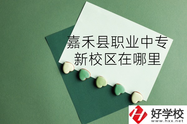 嘉禾縣職業(yè)中專怎么樣？新校區(qū)在哪里？