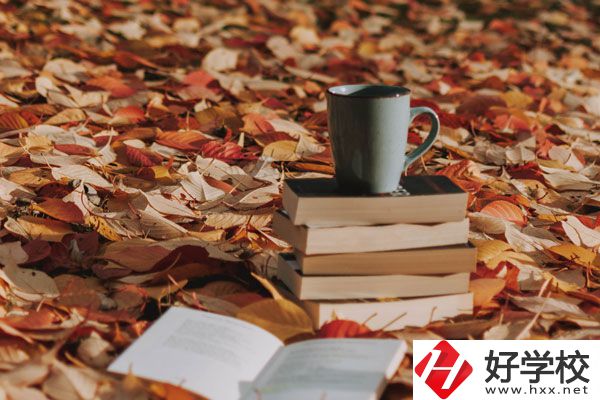 中方縣職業(yè)中等專(zhuān)業(yè)學(xué)校有什么專(zhuān)業(yè)？好不好？