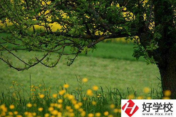 在邵陽(yáng)讀中職有前途嗎？如何選擇學(xué)校呢？