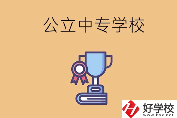常德的公立中專學(xué)校有哪些？有什么特色？