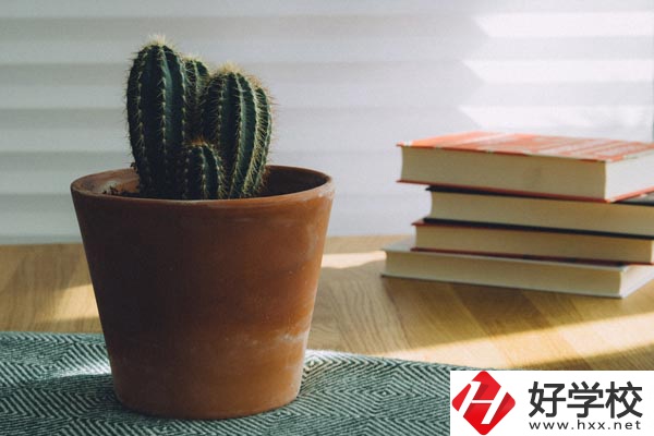 桃江縣職業(yè)中專學(xué)校辦學(xué)條件怎么樣？有哪些特色？