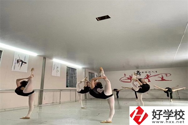 懷化市大鑫藝術(shù)職業(yè)學(xué)校是公辦嗎？學(xué)費是多少？