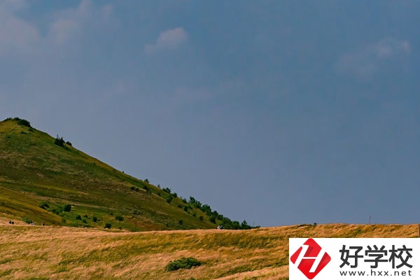 想在常德學(xué)動(dòng)漫設(shè)計(jì)專(zhuān)業(yè)，有合適的學(xué)校嗎？